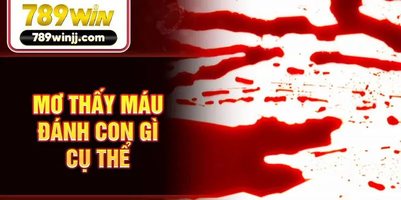 Mơ thấy máu đánh con gì cụ thể